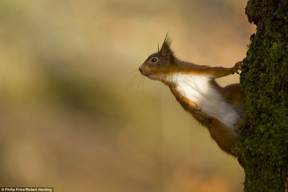 Tới[-]đích[-]an[-]toàn.